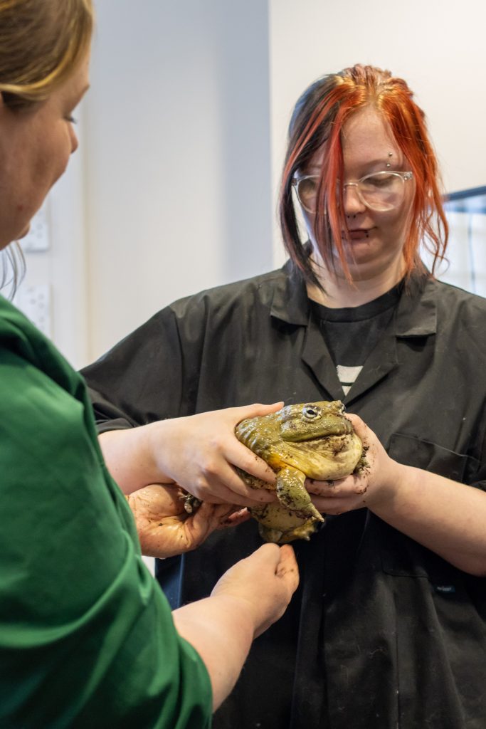 Animal Welfare Science - Image 8